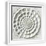 White Frame