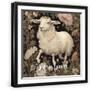 Black Frame