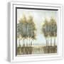 White Frame