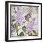 Black Frame