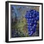 Black Frame