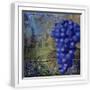 White Frame