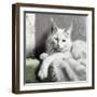 Sasha Wakes-Sasha-Framed Giclee Print