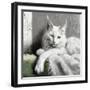 Sasha Wakes-Sasha-Framed Giclee Print