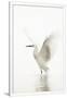 Gramercy White