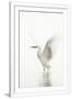 Gramercy White