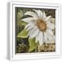 White Frame