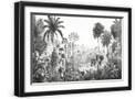 Black Frame