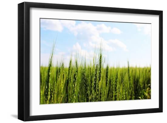 Premium Photographic Print, , large