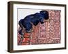 Saskia on a Patterned Carpet, 2000-Joan Thewsey-Framed Giclee Print