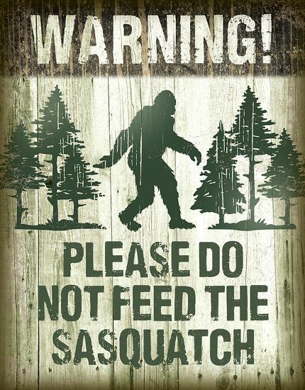 Tin Sign, , large