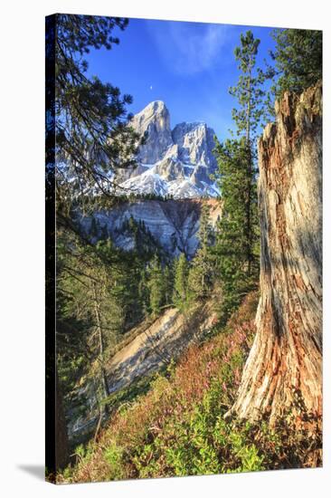 Sass de Putia in background enriched by colorful woods. Passo delle Erbe. Puez Odle South Tyrol Dol-ClickAlps-Stretched Canvas