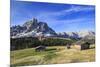 Sass de Putia in background enriched by green meadows. Passo delle Erbe. Puez Odle South Tyrol Dolo-ClickAlps-Mounted Photographic Print