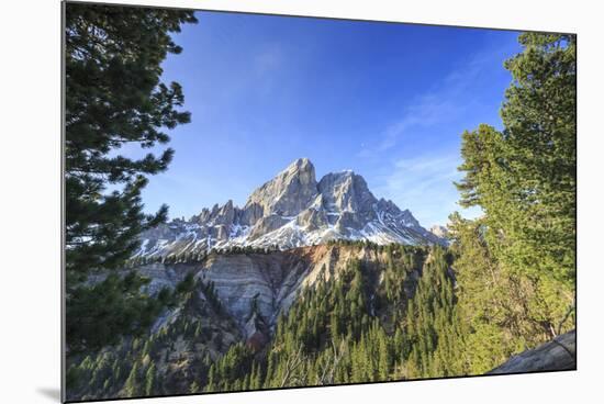 Sass de Putia in background enriched by green woods. Passo delle Erbe. Puez Odle South Tyrol Dolomi-ClickAlps-Mounted Photographic Print