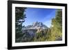 Sass de Putia in background enriched by green woods. Passo delle Erbe. Puez Odle South Tyrol Dolomi-ClickAlps-Framed Photographic Print