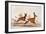 Sassaby and Hartebeest-William Cornwallis Harris-Framed Giclee Print