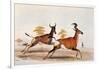 Sassaby and Hartebeest-William Cornwallis Harris-Framed Giclee Print