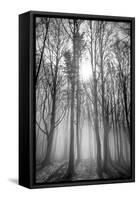 Sassofratino Reserve, Foreste Casentinesi National Park, Badia Prataglia, Tuscany, Italy-ClickAlps-Framed Stretched Canvas