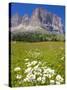 Sassolungo Group and Daisies, Sella Pass, Trento and Bolzano Provinces, Italian Dolomites, Italy-Frank Fell-Stretched Canvas