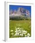 Sassolungo Group and Daisies, Sella Pass, Trento and Bolzano Provinces, Italian Dolomites, Italy-Frank Fell-Framed Photographic Print