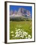 Sassolungo Group and Daisies, Sella Pass, Trento and Bolzano Provinces, Italian Dolomites, Italy-Frank Fell-Framed Photographic Print