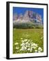 Sassolungo Group and Daisies, Sella Pass, Trento and Bolzano Provinces, Italian Dolomites, Italy-Frank Fell-Framed Photographic Print