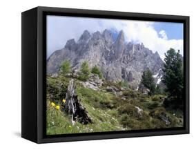 Sassolungo Range, 3181M, Val Gardena, Dolomites, Alto Adige, Italy-Richard Nebesky-Framed Stretched Canvas