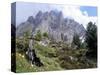 Sassolungo Range, 3181M, Val Gardena, Dolomites, Alto Adige, Italy-Richard Nebesky-Stretched Canvas