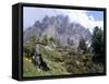 Sassolungo Range, 3181M, Val Gardena, Dolomites, Alto Adige, Italy-Richard Nebesky-Framed Stretched Canvas