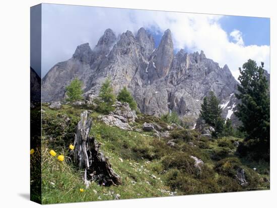 Sassolungo Range, 3181M, Val Gardena, Dolomites, Alto Adige, Italy-Richard Nebesky-Stretched Canvas