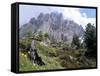 Sassolungo Range, 3181M, Val Gardena, Dolomites, Alto Adige, Italy-Richard Nebesky-Framed Stretched Canvas