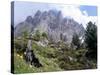 Sassolungo Range, 3181M, Val Gardena, Dolomites, Alto Adige, Italy-Richard Nebesky-Stretched Canvas