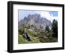 Sassolungo Range, 3181M, Val Gardena, Dolomites, Alto Adige, Italy-Richard Nebesky-Framed Photographic Print