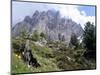 Sassolungo Range, 3181M, Val Gardena, Dolomites, Alto Adige, Italy-Richard Nebesky-Mounted Photographic Print