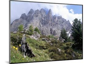 Sassolungo Range, 3181M, Val Gardena, Dolomites, Alto Adige, Italy-Richard Nebesky-Mounted Photographic Print