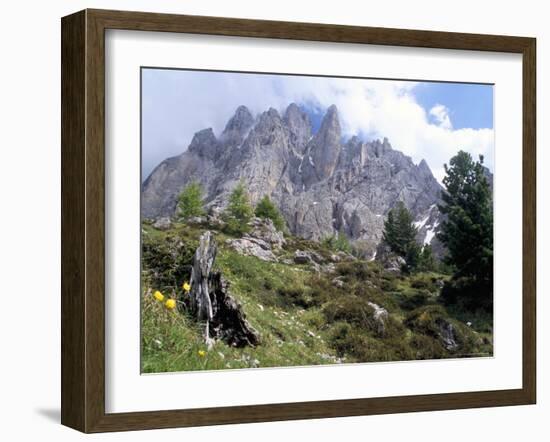 Sassolungo Range, 3181M, Val Gardena, Dolomites, Alto Adige, Italy-Richard Nebesky-Framed Photographic Print