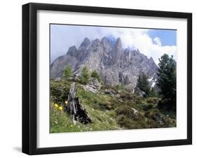 Sassolungo Range, 3181M, Val Gardena, Dolomites, Alto Adige, Italy-Richard Nebesky-Framed Photographic Print