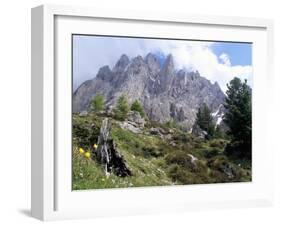 Sassolungo Range, 3181M, Val Gardena, Dolomites, Alto Adige, Italy-Richard Nebesky-Framed Photographic Print