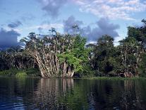 Mount Kilimanjaro, Tanzania, East Africa, Africa-Sassoon Sybil-Photographic Print