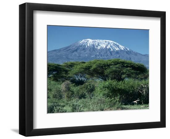 Premium Photographic Print, , large