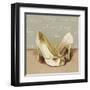 Sassy-Anna Polanski-Framed Art Print