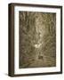 Satan As a Serpent Enters Paradise-Gustave Doré-Framed Giclee Print