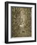 Satan As a Serpent Enters Paradise-Gustave Doré-Framed Giclee Print