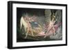 Satan Tempts Eve in the Dream, Paradise Lost by John Milton-John Martin-Framed Giclee Print