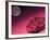 Satellite, Antenna, and Moon-David Carriere-Framed Photographic Print