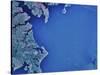 Satellite Image of Chesapeake Bay and Annapolis, Maryland-Stocktrek Images-Stretched Canvas