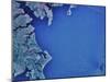 Satellite Image of Chesapeake Bay and Annapolis, Maryland-Stocktrek Images-Mounted Photographic Print
