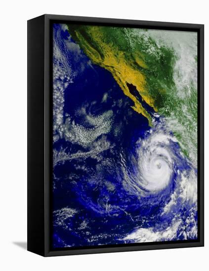 Satellite Image of Hurricane Nora Over the Pacific-null-Framed Stretched Canvas