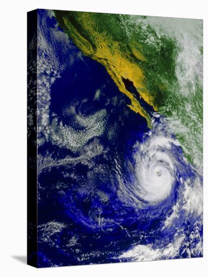 Satellite Image of Hurricane Nora Over the Pacific-null-Stretched Canvas
