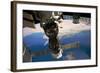 Satellite in space with view of Italy and Africa on Earth-null-Framed Photographic Print